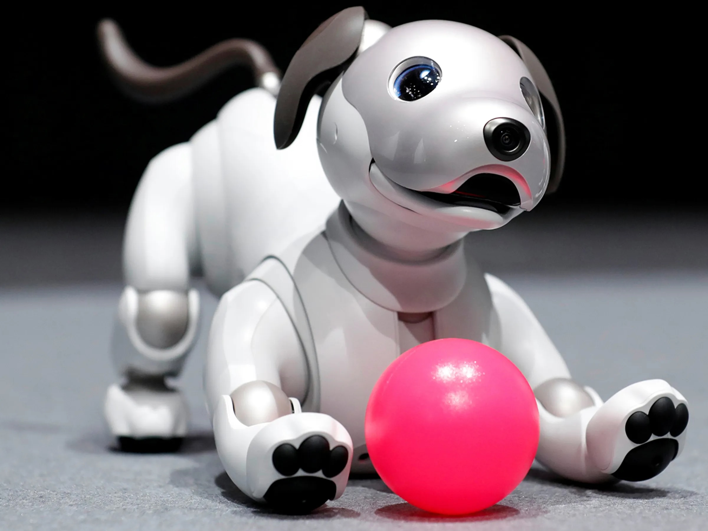 AIBO. Image Source.