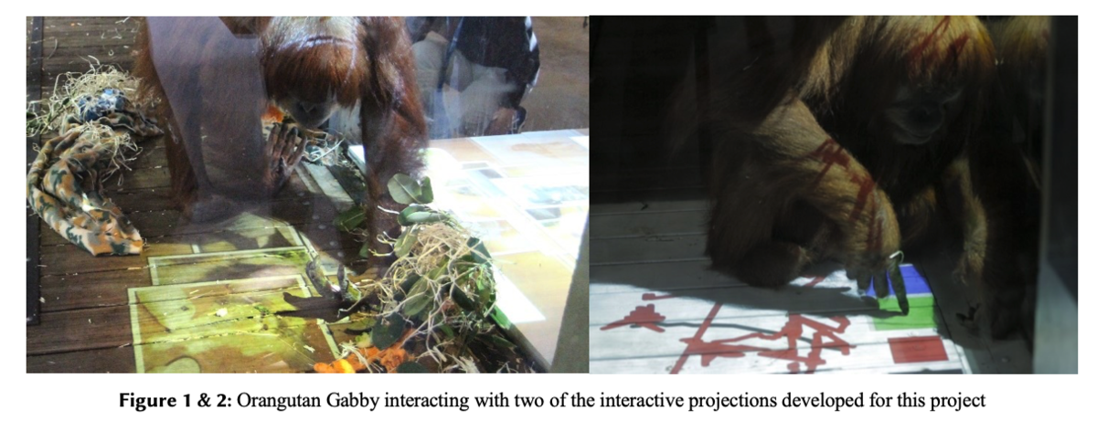 Co-Designing with Orangutans: Enhancing the Design of Enrichment for Animals (Sarah Webber, Marcus Carter, Wally Smith, and Frank Vetere) Proc. DIS ’20 (Webber et al., 2020)