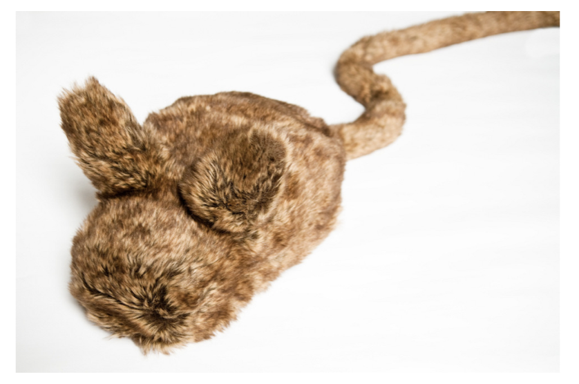 The haptic creature (Yohanan & MacLean, 2011)