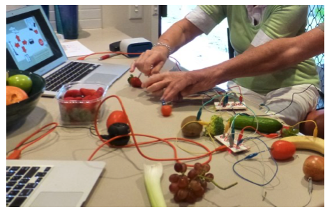 Makey makeys on a desk