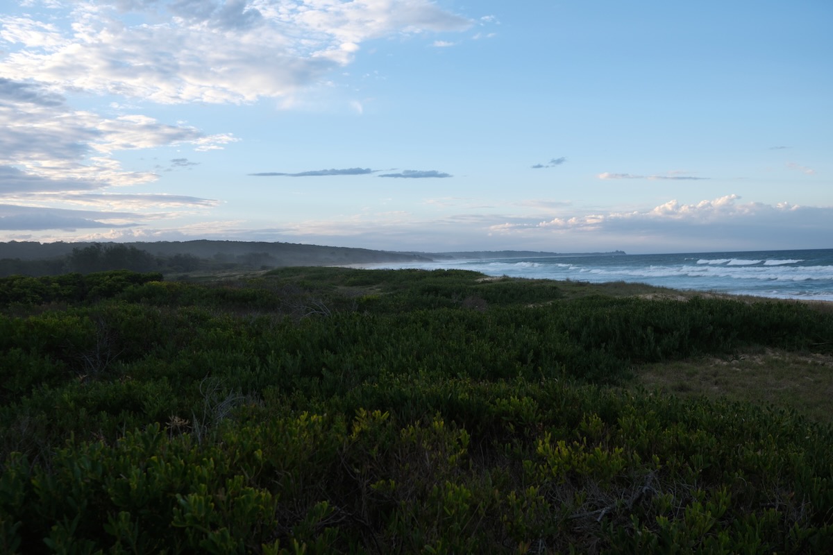Touch grass and look at the sky.