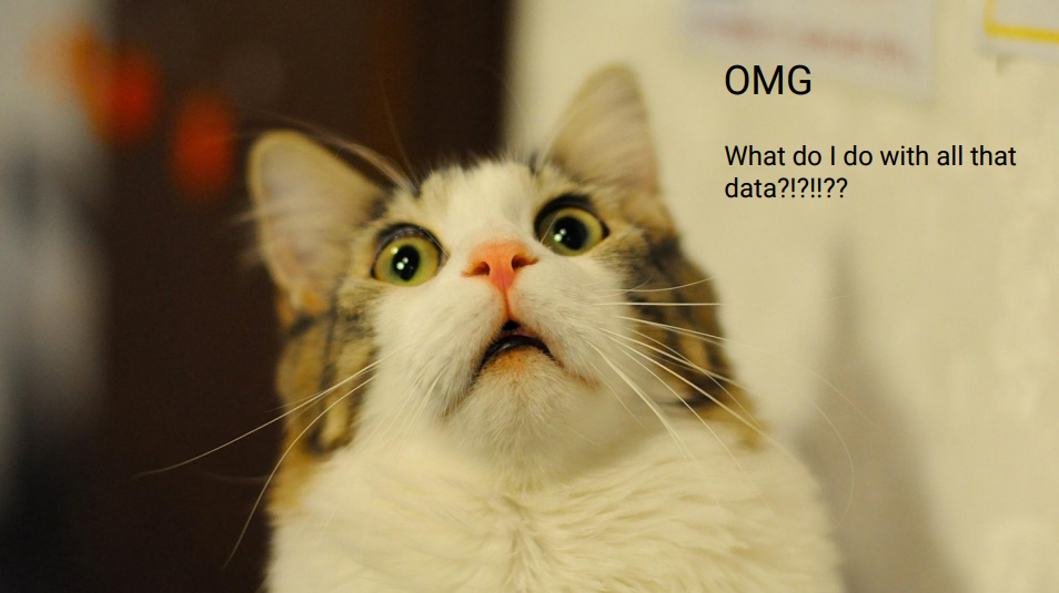 OMG All That Data. What are we going to do with it?